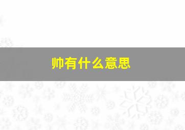 帅有什么意思