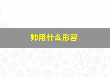 帅用什么形容