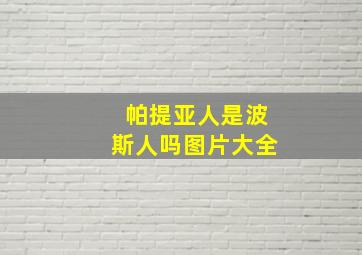 帕提亚人是波斯人吗图片大全