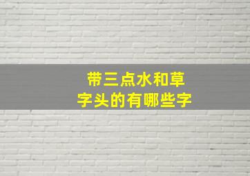 带三点水和草字头的有哪些字