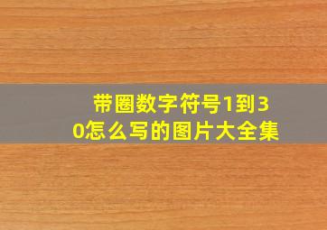 带圈数字符号1到30怎么写的图片大全集