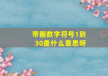 带圈数字符号1到30是什么意思呀