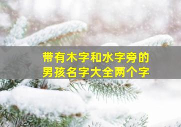 带有木字和水字旁的男孩名字大全两个字