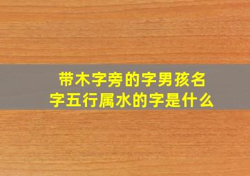 带木字旁的字男孩名字五行属水的字是什么