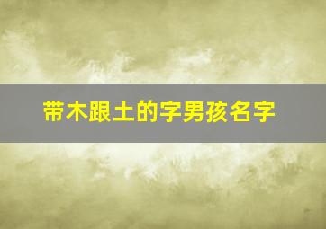 带木跟土的字男孩名字