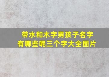 带水和木字男孩子名字有哪些呢三个字大全图片