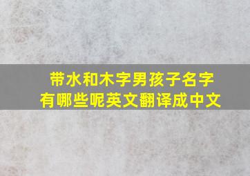 带水和木字男孩子名字有哪些呢英文翻译成中文