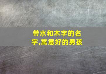 带水和木字的名字,寓意好的男孩