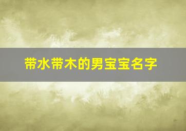 带水带木的男宝宝名字