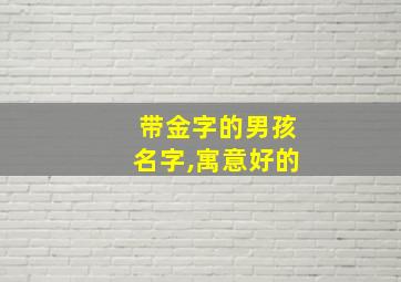 带金字的男孩名字,寓意好的