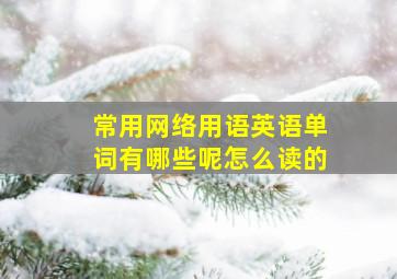 常用网络用语英语单词有哪些呢怎么读的