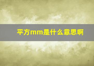 平方mm是什么意思啊