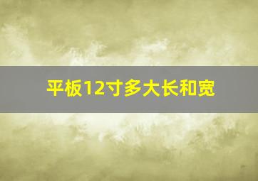 平板12寸多大长和宽