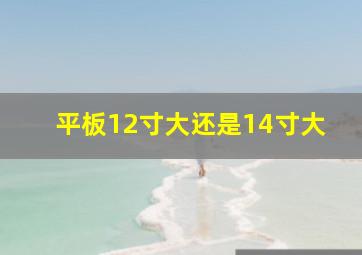 平板12寸大还是14寸大