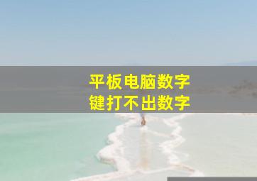 平板电脑数字键打不出数字