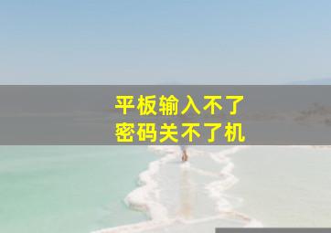 平板输入不了密码关不了机