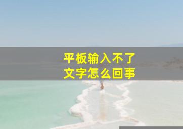 平板输入不了文字怎么回事