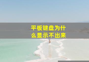 平板键盘为什么显示不出来