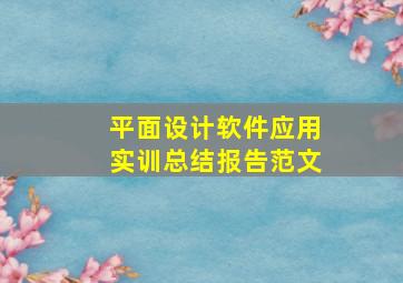 平面设计软件应用实训总结报告范文