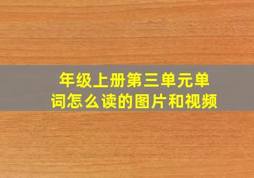 年级上册第三单元单词怎么读的图片和视频