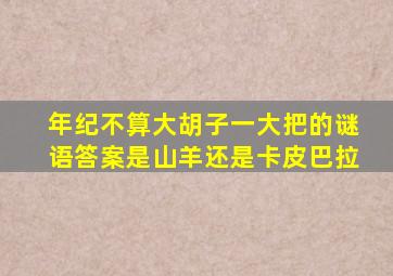 年纪不算大胡子一大把的谜语答案是山羊还是卡皮巴拉