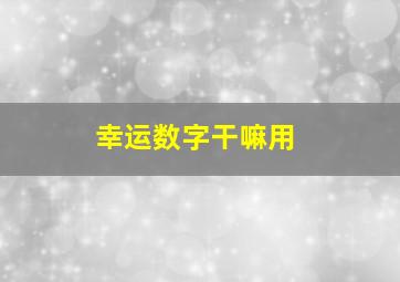 幸运数字干嘛用