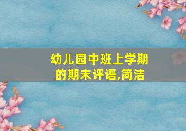 幼儿园中班上学期的期末评语,简洁