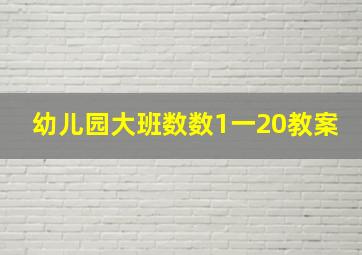 幼儿园大班数数1一20教案