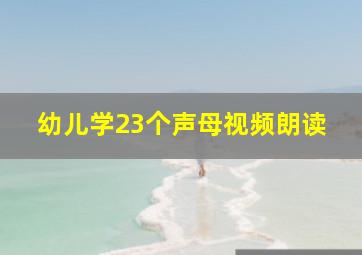 幼儿学23个声母视频朗读