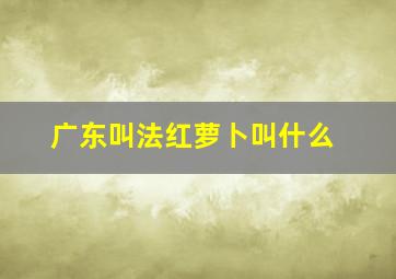 广东叫法红萝卜叫什么