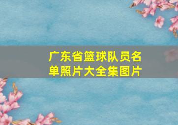 广东省篮球队员名单照片大全集图片