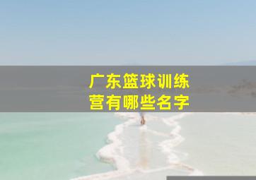 广东篮球训练营有哪些名字