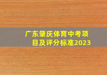 广东肇庆体育中考项目及评分标准2023