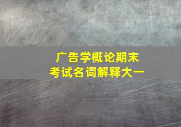 广告学概论期末考试名词解释大一