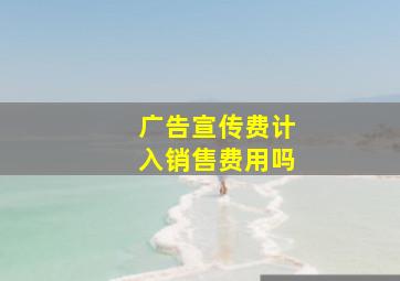 广告宣传费计入销售费用吗