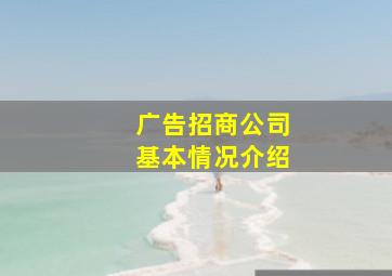 广告招商公司基本情况介绍