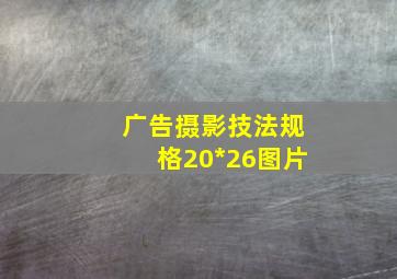 广告摄影技法规格20*26图片