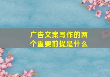 广告文案写作的两个重要前提是什么