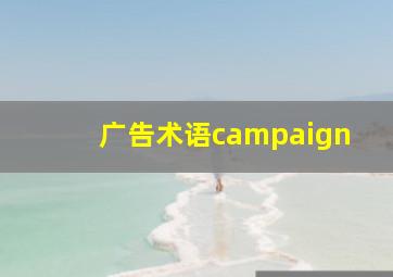 广告术语campaign