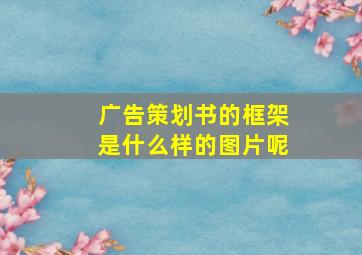 广告策划书的框架是什么样的图片呢