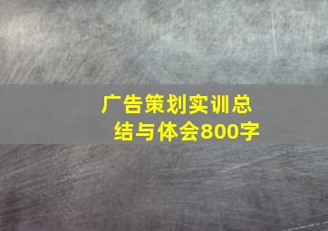 广告策划实训总结与体会800字