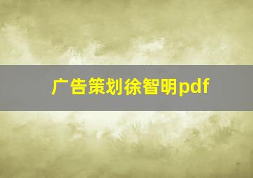 广告策划徐智明pdf