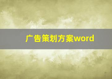 广告策划方案word