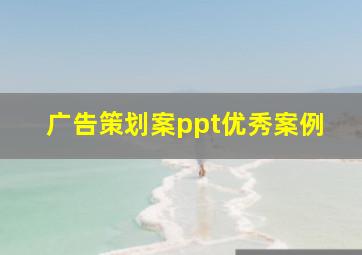 广告策划案ppt优秀案例