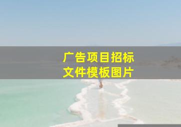 广告项目招标文件模板图片