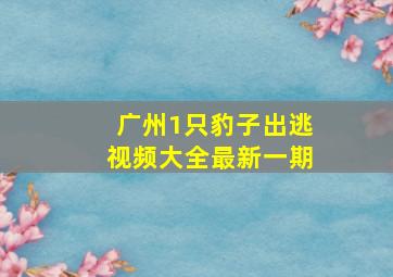 广州1只豹子出逃视频大全最新一期