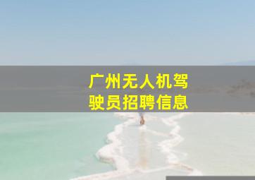 广州无人机驾驶员招聘信息