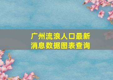 广州流浪人口最新消息数据图表查询