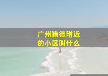 广州猎德附近的小区叫什么