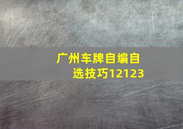 广州车牌自编自选技巧12123